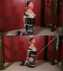 brendasbound.com - 0160 Pole Bound Hogtie Stile thumbnail